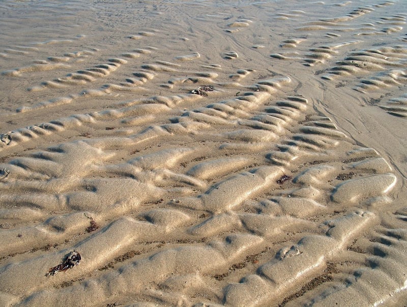 Traditional Elven Feast